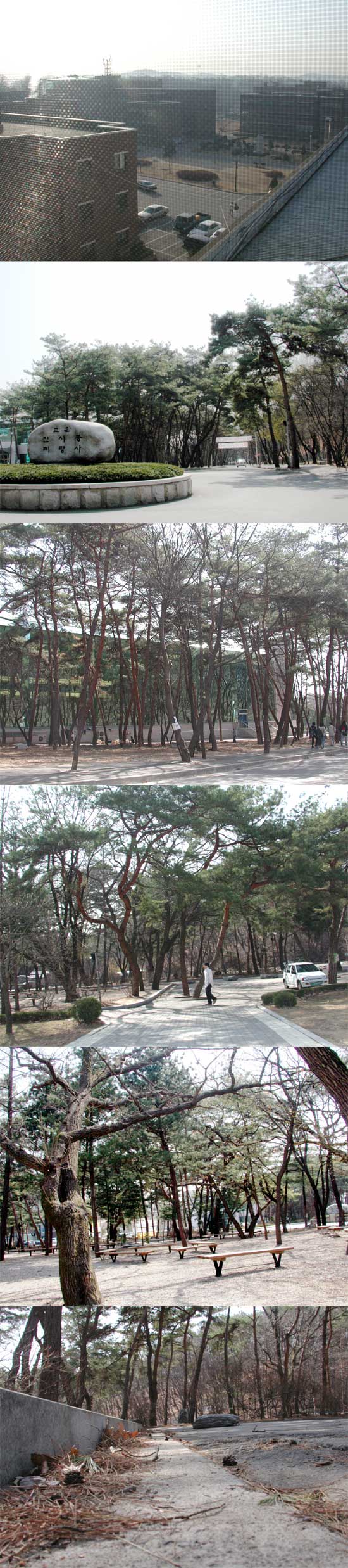 삼육대학교 교정